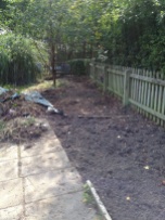 Ground clearance, digging out the brambles